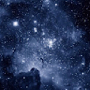 Meet your Posher, Delaney